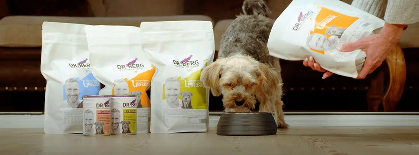 Ein kleiner Hund frisst aus einem Napf, umgeben von Dr. Berg Hundefutter-Produkten in Dosen und Beuteln auf einem Holzboden.