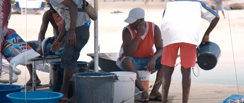 Litocoolio Andrade — Cabo Verde — 1